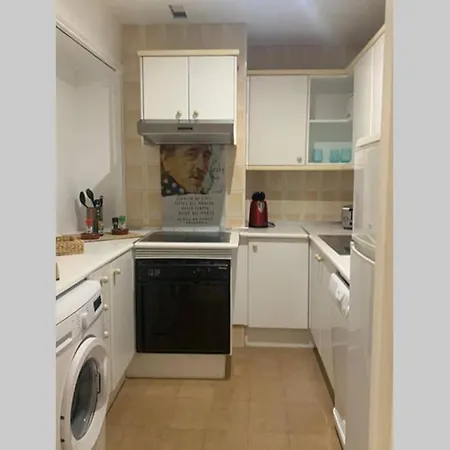 Palmeras Puerto Paraiso