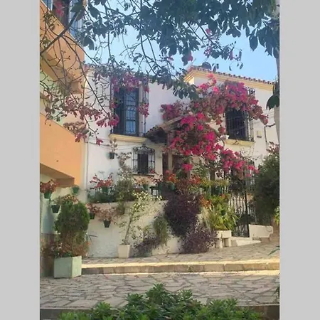 Palmeras Puerto Paraiso Estepona