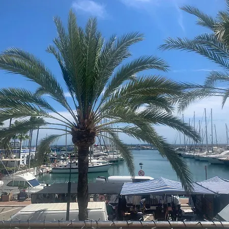 Palmeras Puerto Paraiso *