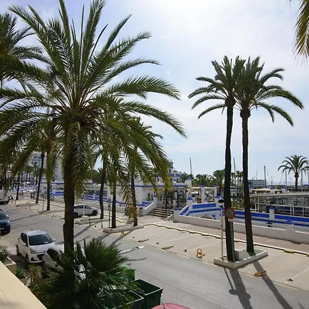 Palmeras Puerto Paraiso Estepona