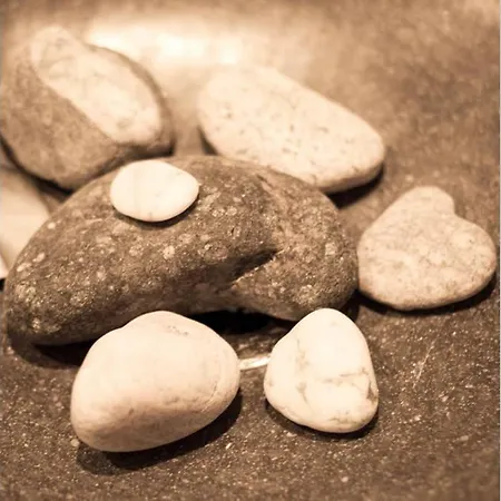 Palmeras Puerto Paraiso *