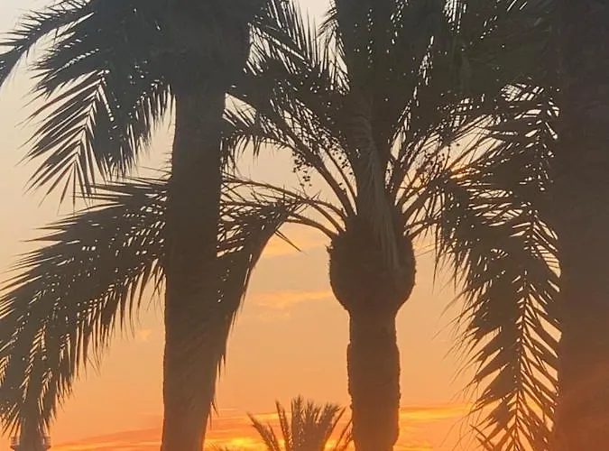 Palmeras Puerto Paraiso