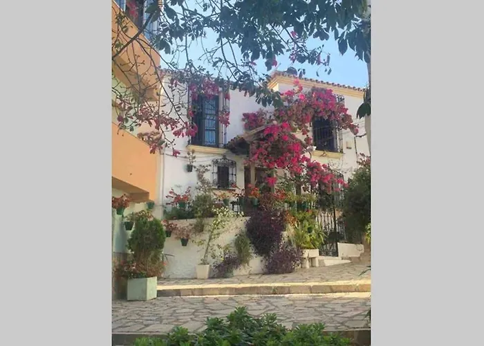 Palmeras Puerto Paraiso Estepona