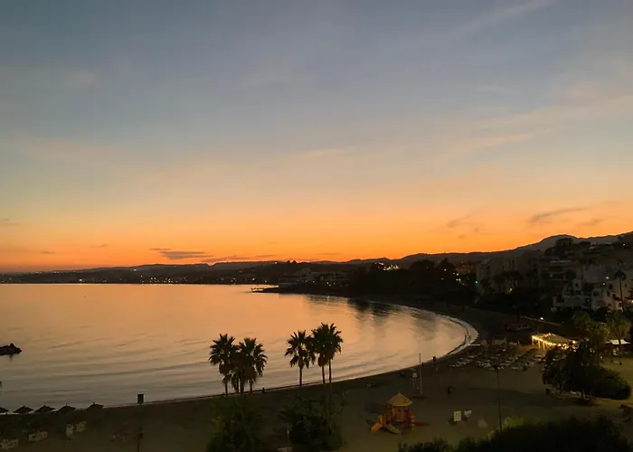 Palmeras Puerto Paraiso *