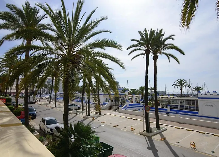 Palmeras Puerto Paraiso Estepona