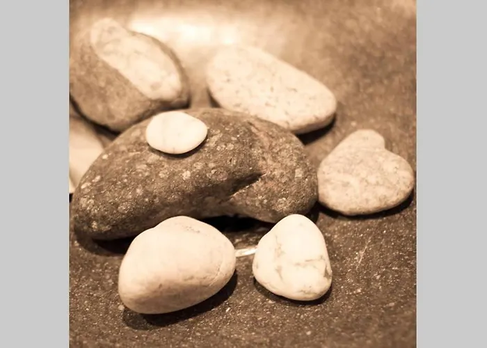 Palmeras Puerto Paraiso *