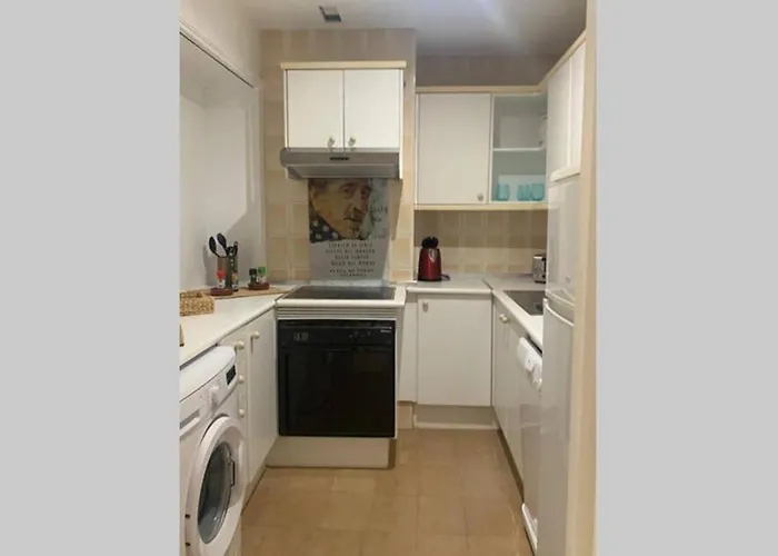 Palmeras Puerto Paraiso