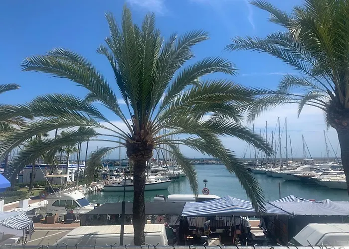 Palmeras Puerto Paraiso *